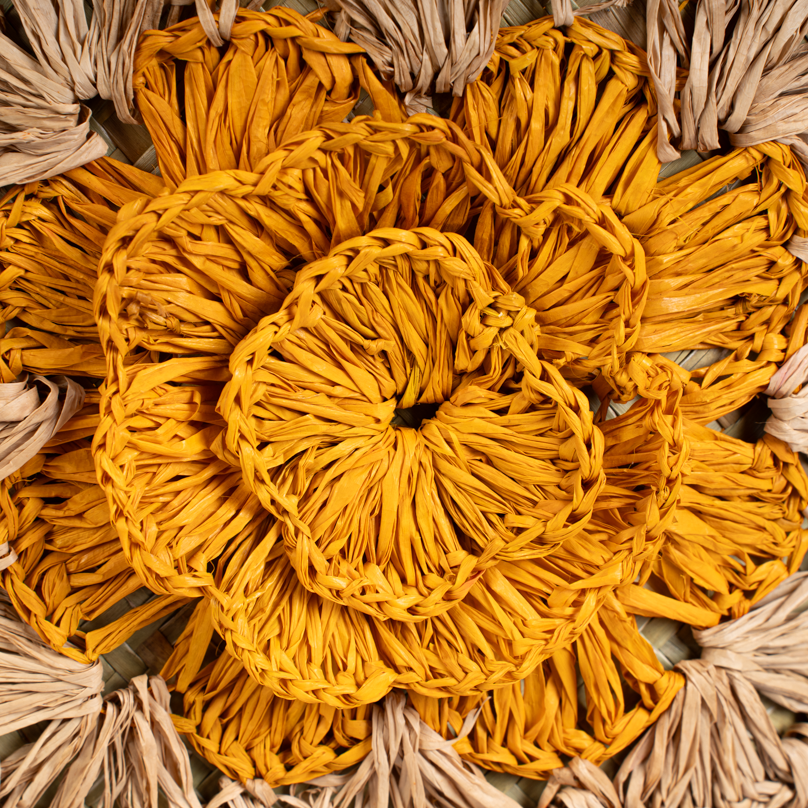 CABAS X3 TOULOU – Image 5